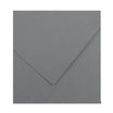 CANSON Iris Vivaldi - Papier Dessin Couleur - Lisse - 120 g/m² - Feuille - A4-21x29,7cm - Gris Foncé
