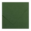 CANSON Iris Vivaldi - Papier Dessin Couleur - Lisse - 240 g/m² - Feuille - A4-21x29,7cm - Vert Sapin