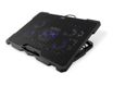 CoolBox - Almohadilla refrigerante para portátil - ajustable - con concentrador USB de 2 puertos - 17.3"