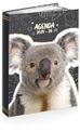 Agenda ANIMAUX FUNNY- 12 x 17 cm - 2 modèles au choix - Kid'Abord