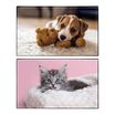 Sous-main Animaux Chaton + Chiot - 59,5 x 36,2 cm - Assortis - Viquel