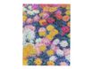 Journal - 17,5 x 23 cm - 144 pages - multicolore - Paperblanks