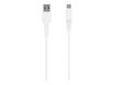 T'nB - Câble USB - USB (M) pour 24 pin USB-C (M) - 2.4 A - 2 m - reinforced connectors - blanc élégance