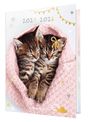 Agenda Chaton tendre duo - 1 jour par page - 12,5 x 17,5 cm - Oberthur