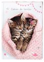 Cahier de texte Chaton tendre duo - 15 x 21 cm - Oberthur