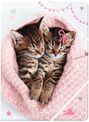 Chemise A4 chaton tendre duo - 24 x 32 cm - Oberthur