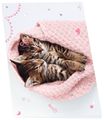Sous-main double chaton tendre duo -  55 x 37 cm - Oberthur