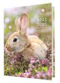 Agenda Lapin - 1 jour par page - 12,5 x 17,5 cm - Oberthur