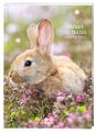 Cahier de texte Lapin - 15 x 21 cm - Oberthur