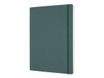 Moleskine PRO collection - Carnet souple - 190 x 260 mm - couverture vert forêt