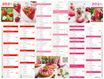 Oberthur - Calendrier cuisine - 6 mois par page - 520 x 405 mm - daté