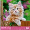 Calendriers 30x30cm 16 mois Aquarupella - Chatons