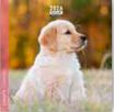 Calendrier 16x16cm 16 mois Aquarupella - Chiots