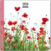 Calendrier 16x16cm 16 mois Aquarupella - Coquelicots