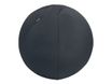 Leitz Ergo - Ballon d'assise ergonomique - Diamètre 55cm - Gris foncé