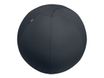 Leitz Ergo - Ballon d'assise ergonomique - Diamètre 75cm - Gris foncé
