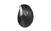 Rapoo EV250 - Souris sans fil ambidextre - Noir