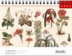 Calendrier chevalet 16x18cm 12 mois Aquarupella -Botanique