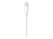 Apple - Câble Lightning - Lightning mâle pour USB mâle - 50 cm