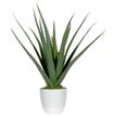 Plante artificielle ALOE VERA - 45cm