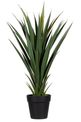 Plante artificielle YUCCA - 60cm