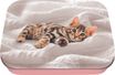 Boite a tout chaton - 11 x 8 cm - Oberthur