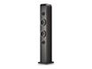 NGS Sky Charm Pro - Haut-parleur - Bluetooth - 50 Watt - noir