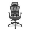 Silla de oficina mesh PRO537 - Negra