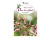 Plantes créoles pour les enfants