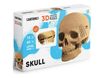 CARTONIC - Crâne - puzzle 3D - 72 pièces