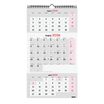 Finocam Calendario Neutro De Pared Para Escribir 3 Meses Vista 2027 – 236 x 430 mm