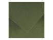 Canson Iris Vivaldi - Papier - 500 x 650 mm - vert kaki - 185 g/m²