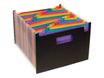 Viquel Rainbow Class Seatcase - Trieur extensible 24 positions