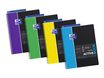 Oxford Etudiants - Cahier Activebook A4+ (24 x 29,7 cm) - 160 pages - grands carreaux (Seyes) - double spirale - disponible dans différentes couleurs
