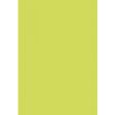 Pollen - 50 Feuilles papier couleur - A4 (21 x 29,7 cm) - 120 g/m² - vert bourgeon