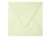 Pollen - 20 Enveloppes - 140 x 140 mm - 120 g/m² - vert bourgeon