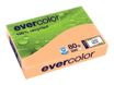Clairefontaine Evercolor - Papier couleur recyclé - A4 (210 x 297 mm) - 80g/m² - Ramette de 500 feuilles - saumon