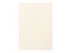 Pollen - 50 Feuilles papier couleur - A4 (21 x 29,7 cm) - 120 g/m² - ivoire irisé