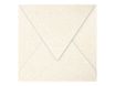 Pollen - 20 Enveloppes - 165 x 165 mm - 120 g/m² - ivoire irisé