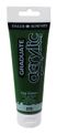 Daler-Rowney Graduate - Peinture acrylique - 120 ml - vert sève