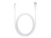 Apple câble Lightning - Lightning / USB - 1 m