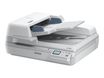 Epson WorkForce DS-60000N - scanner de documents A3 - 600 ppp x 600 ppp - 40ppm