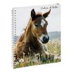 Cahier de textes à spirale Animaux - 17 x 22 cm - disponible dans différents visuels - Exacompta