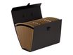 Fellowes Bankers Box - Maletín organizador acordeón negro 19 compartimentos