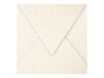 Pollen - 20 Enveloppes - 140 x 140 mm - 120 g/m² - ivoire irisé