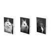 Agenda Scolaire PRINT ANIMAUX - 12x17cm - 3 décors - Hamelin