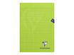 Clairefontaine Mimesys - Cahier polypro A4 (21x29,7 cm) - 96 pages - grands carreaux (Seyes) - vert