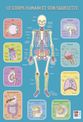 Poster pédagogique Squelette Humain - 52 x 76 cm - Bouchut