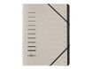 Pagna Office - Trieur 12 positions - gris clair