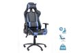 Fauteuil gamer SPORTING - accoudoirs réglables - noir et bleu